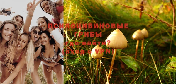 мяу мяу мука Абинск