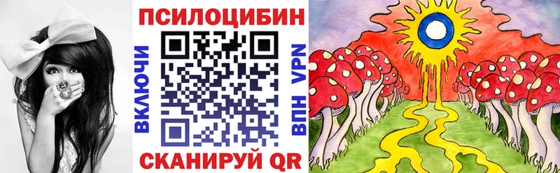blacksprut   как найти наркотики  Южно-Сухокумск  Псилоцибиновые грибы Cubensis 